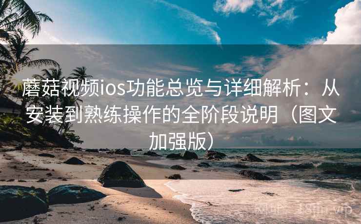 蘑菇视频ios功能总览与详细解析:从安装到熟练操作的全阶段说明(图文加强版)