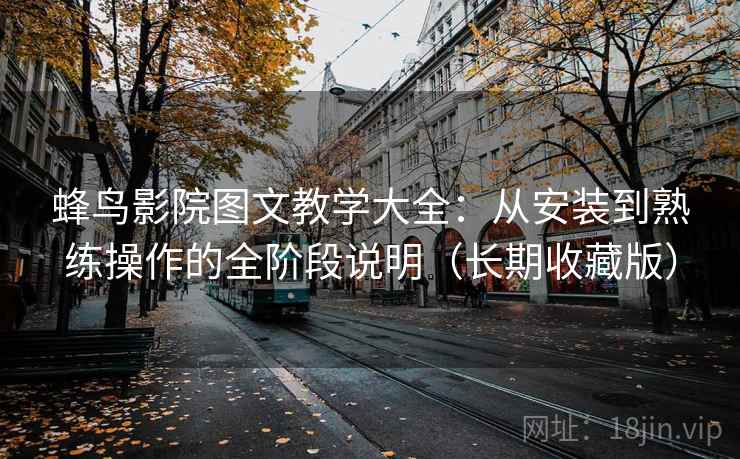 蜂鸟影院图文教学大全:从安装到熟练操作的全阶段说明(长期收藏版) 第2张 蜂鸟影院图文教学大全:从安装到熟练操作的全阶段说明(长期收藏版) 第2张