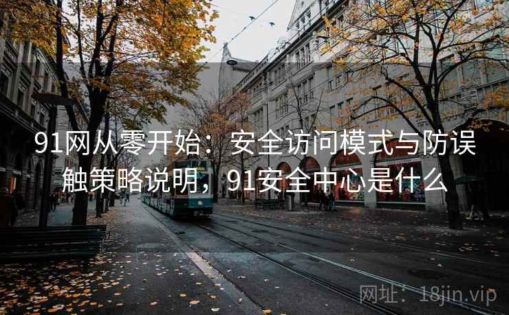 91网从零开始:安全访问模式与防误触策略说明,91安全中心是什么