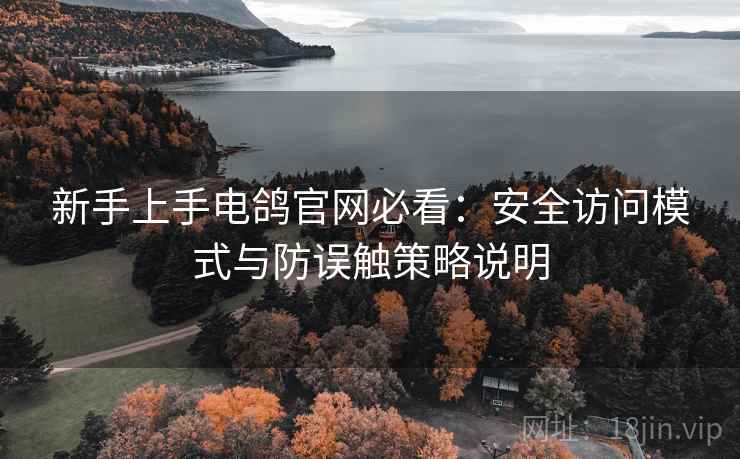 新手上手电鸽官网必看:安全访问模式与防误触策略说明