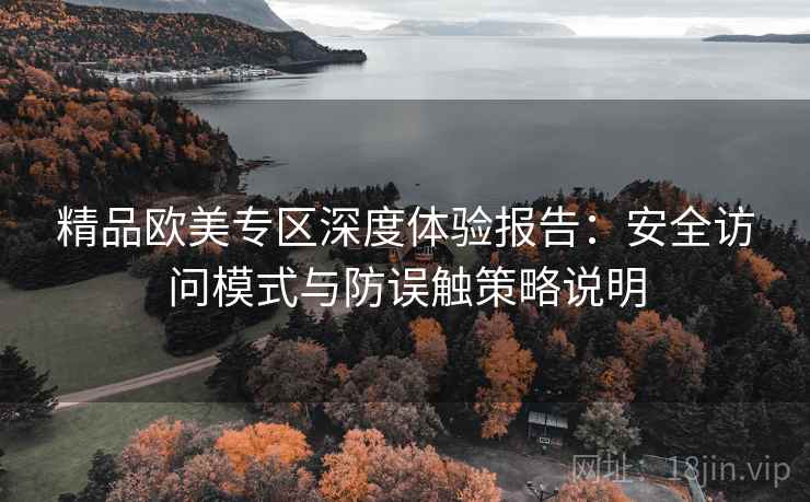 精品欧美专区深度体验报告:安全访问模式与防误触策略说明