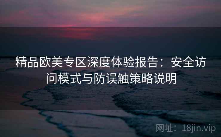 精品欧美专区深度体验报告:安全访问模式与防误触策略说明