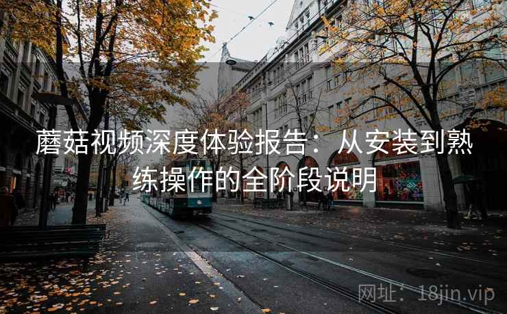 蘑菇视频深度体验报告：从安装到熟练操作的全阶段说明