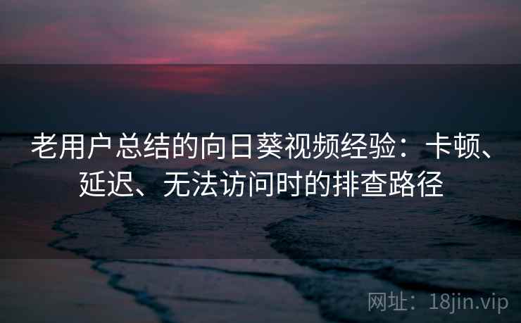 老用户总结的向日葵视频经验：卡顿、延迟、无法访问时的排查路径