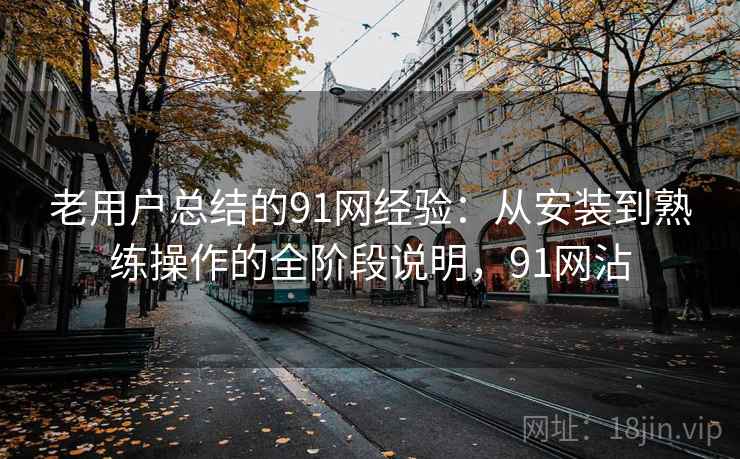 老用户总结的91网经验：从安装到熟练操作的全阶段说明，91网沾  第2张