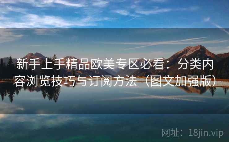 新手上手精品欧美专区必看：分类内容浏览技巧与订阅方法（图文加强版）