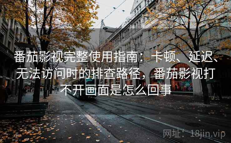 番茄影视完整使用指南：卡顿、延迟、无法访问时的排查路径，番茄影视打不开画面是怎么回事