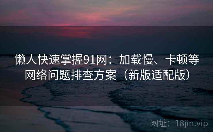 懒人快速掌握91网:加载慢、卡顿等网络问题排查方案(新版适配版)