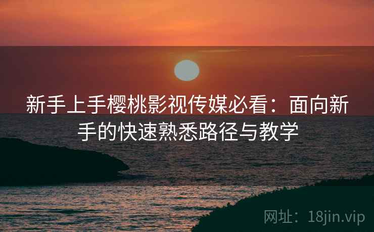 新手上手樱桃影视传媒必看：面向新手的快速熟悉路径与教学  第2张