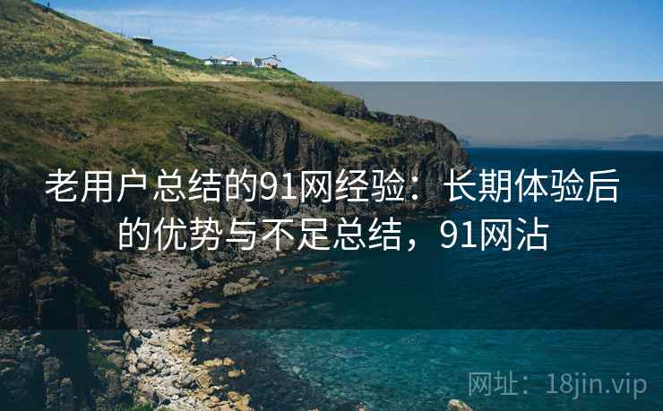 老用户总结的91网经验:长期体验后的优势与不足总结,91网沾