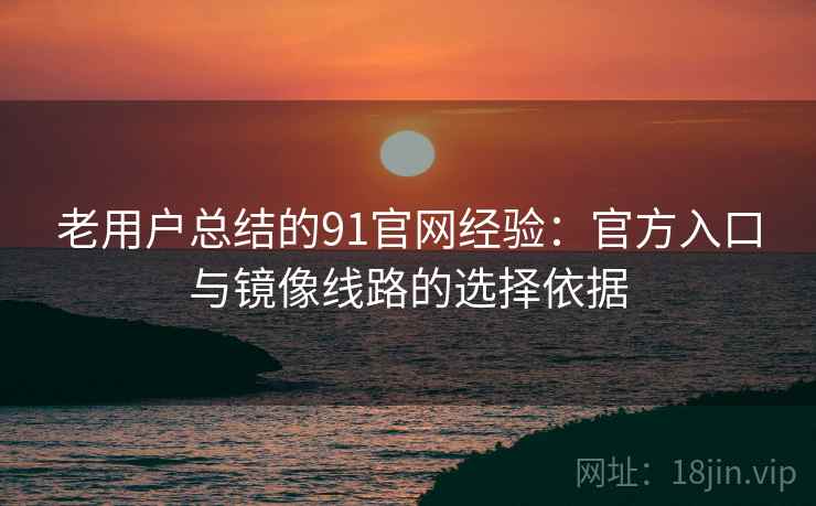 老用户总结的91官网经验:官方入口与镜像线路的选择依据