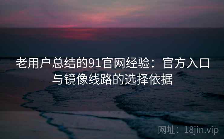 老用户总结的91官网经验:官方入口与镜像线路的选择依据