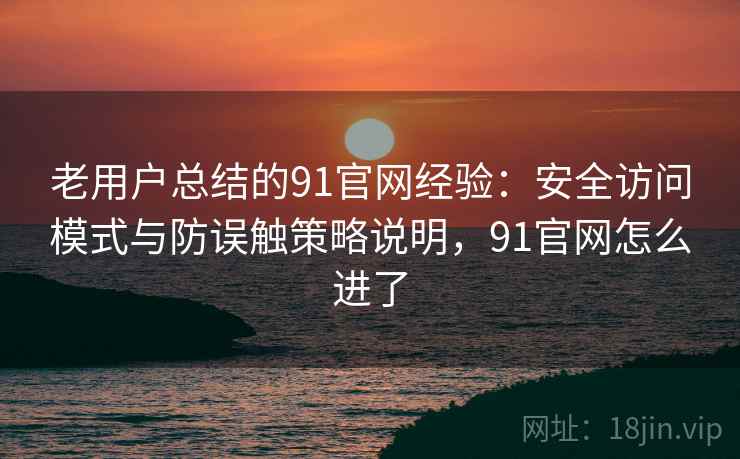 老用户总结的91官网经验:安全访问模式与防误触策略说明,91官网怎么进了