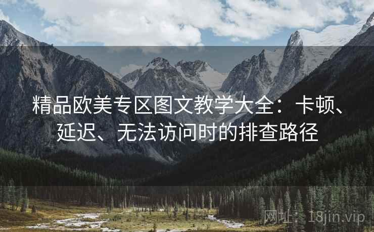 精品欧美专区图文教学大全：卡顿、延迟、无法访问时的排查路径