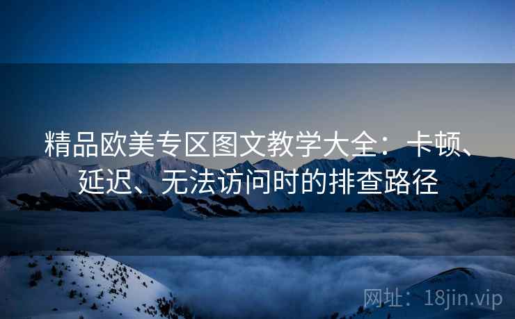 精品欧美专区图文教学大全：卡顿、延迟、无法访问时的排查路径