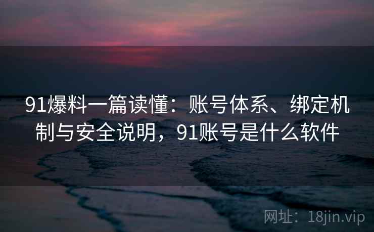 91爆料一篇读懂：账号体系、绑定机制与安全说明，91账号是什么软件