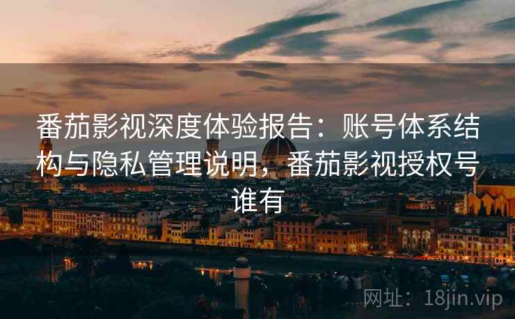 番茄影视深度体验报告：账号体系结构与隐私管理说明，番茄影视授权号谁有