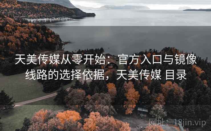 天美传媒从零开始：官方入口与镜像线路的选择依据，天美传媒 目录  第2张