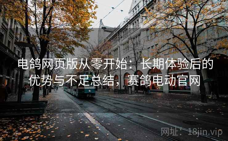 电鸽网页版从零开始：长期体验后的优势与不足总结，赛鸽电动官网  第1张