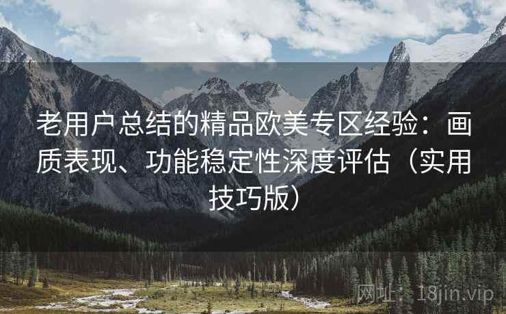 老用户总结的精品欧美专区经验:画质表现、功能稳定性深度评估(实用技巧版) 第1张 老用户总结的精品欧美专区经验:画质表现、功能稳定性深度评估(实用技巧版) 第1张