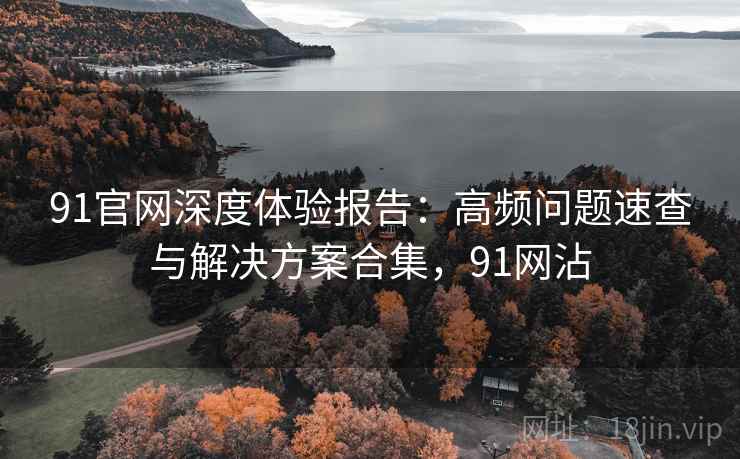 91官网深度体验报告:高频问题速查与解决方案合集,91网沾