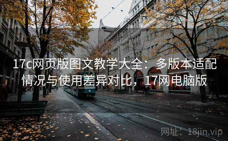17c网页版图文教学大全:多版本适配情况与使用差异对比,17网电脑版
