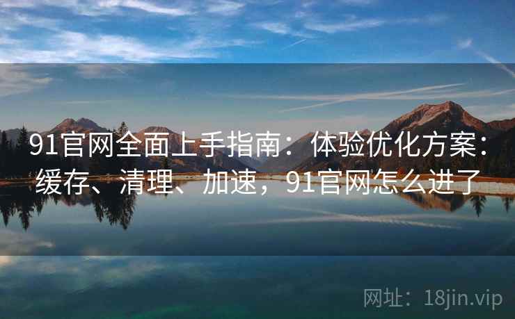 91官网全面上手指南:体验优化方案:缓存、清理、加速,91官网怎么进了