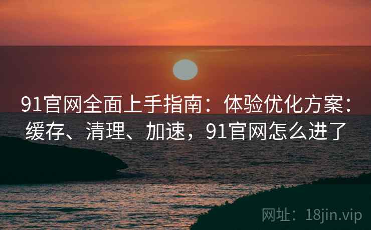 91官网全面上手指南:体验优化方案:缓存、清理、加速,91官网怎么进了