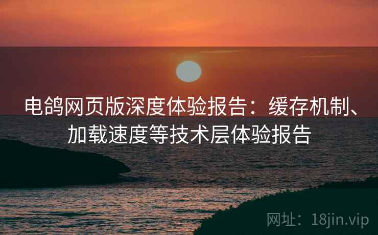 电鸽网页版深度体验报告：缓存机制、加载速度等技术层体验报告
